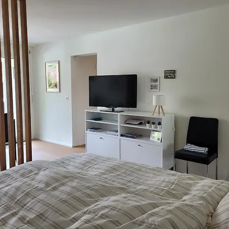 Central, Newly Renovated 2-room Apartment Engelberg