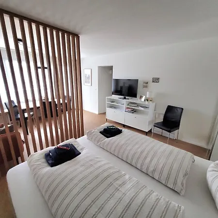 Modern, Central 2-Room Apartment Near Titlis Lift 公寓